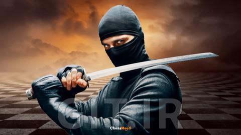 Tactic Ninja - Sharpen Your Chess Tactics with a Grandmaster