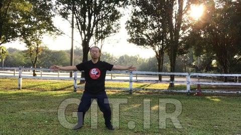 Tai Chi Standing Qi Gong - Relaxation of Mind and Body