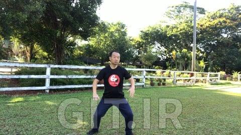 Tai Chi to Strengthen Bones, Halt Bone-thinning Osteoporosis
