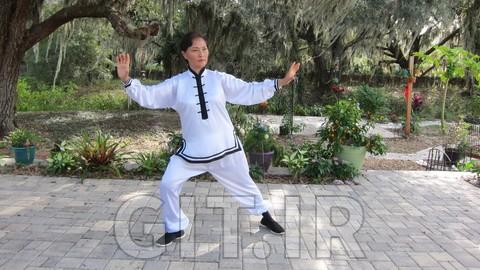 Tai Chi for Seniors Home Study Program