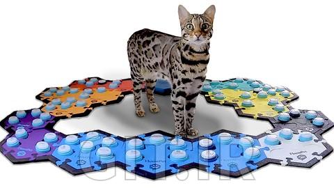 Teach your pet how to "Talk" with buttons