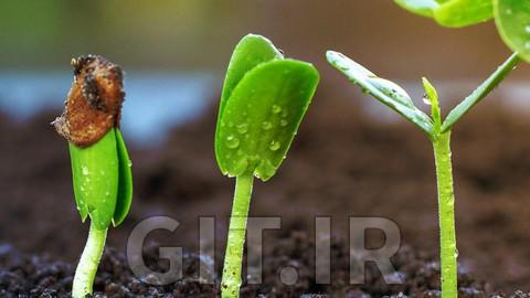 The Basics of Reproduction: A Refresher Course