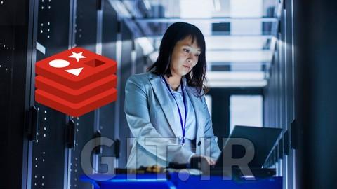 The Complete Beginners Guide for Redis Server and NoSQL DB