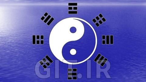 The Feng Shui Bagua:  A Master Class with James Jay
