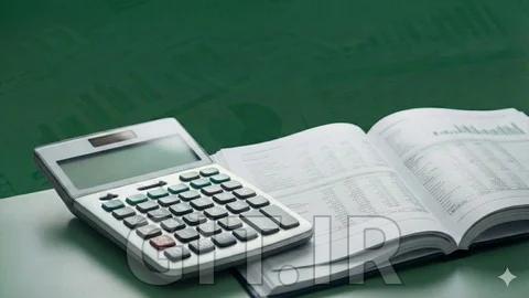 The Investor Framework: Master Financial Statements & Stock