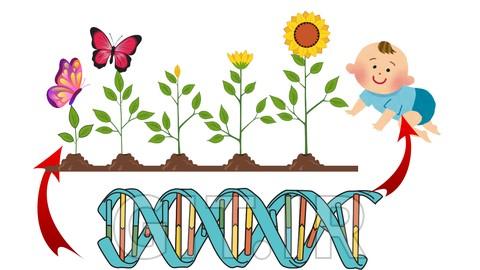 The Wonders of the Molecules of Life