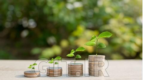 Tools and Strategies of Blended Finance for Social Impact