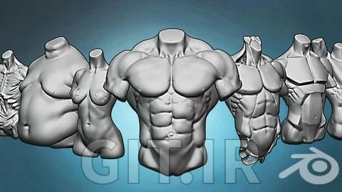Torso anatomy exercises course