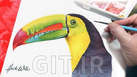 TOUCAN - Paint Realistic Watercolour and BIRDS