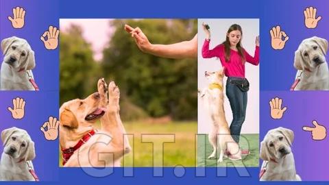 Transform Your Dog's Behavior Through Communication,Training
