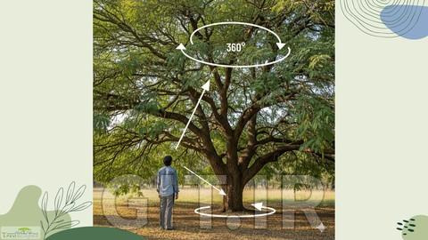 Tree Risk Inspection Basics: Assessing for health and safety