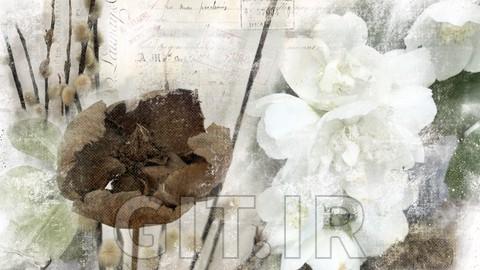 Vintage Look Photographic Layouts with Procreate Clone Tool