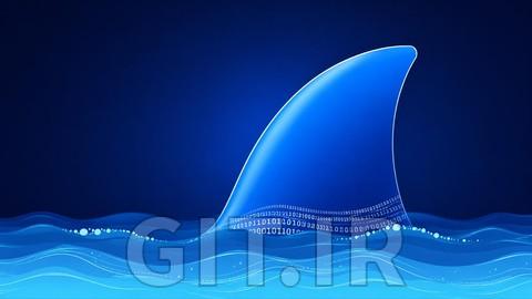 Wireshark for SOC Analyst & AI-Powered Analysis