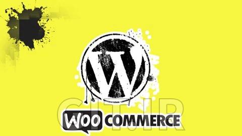 WordPress/WooCommerce plugin development