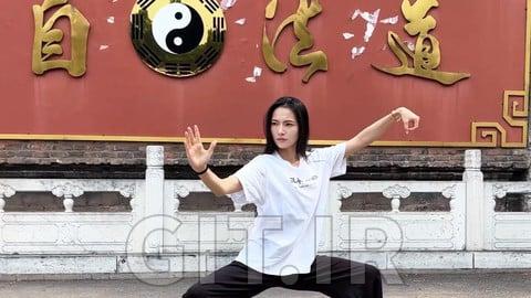 Yang-Style Tai Chi: 13 Postures of Divine Alchemy