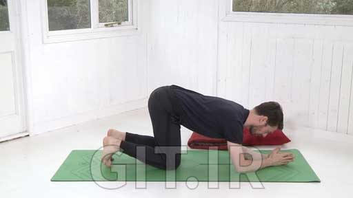 Yoga for Back Health - Yoga Alliance YACEP
