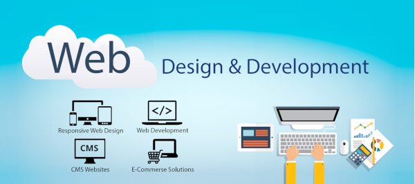 Web Design Training