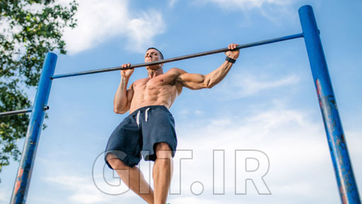 Fitness Trainer Certification: Gym Workouts & Calisthenics