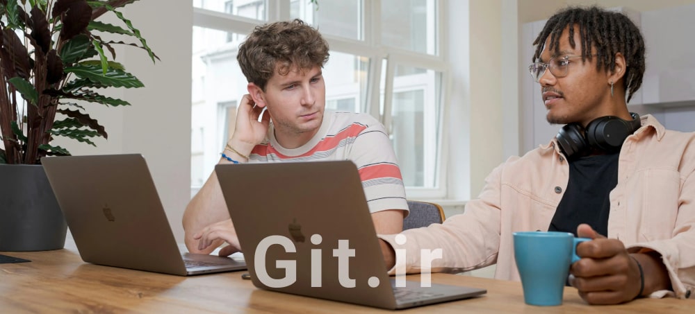 Software Developer vs. Software Engineer