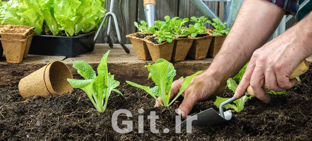 Gardening Guide