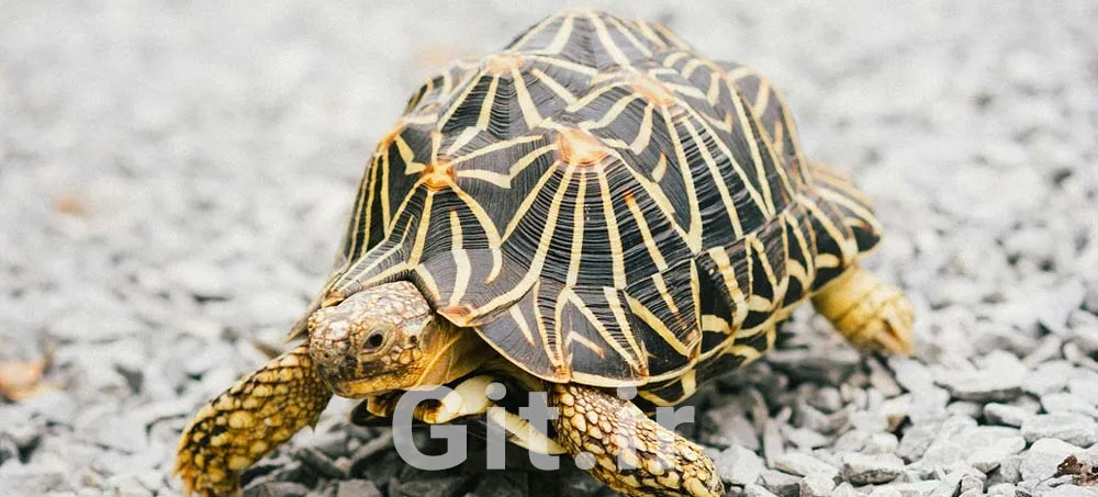 The illusion of early progress