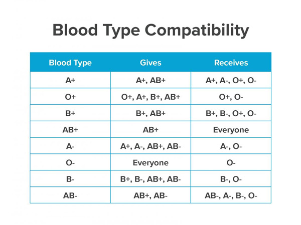 Blood Group System
