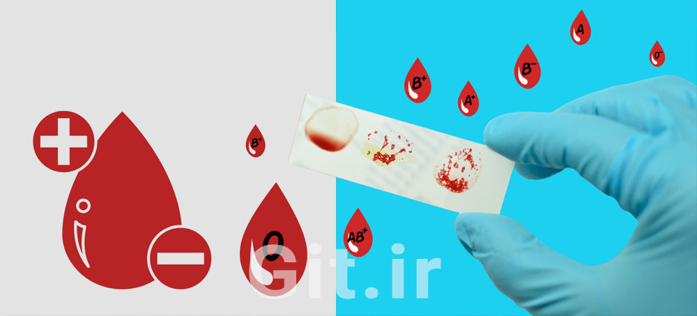 Understanding Blood Groups and Their Daily Importance