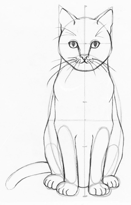 Cat Drawing Step 8