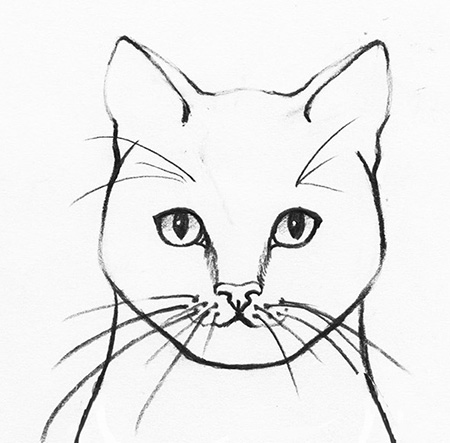 realistic cat drawing