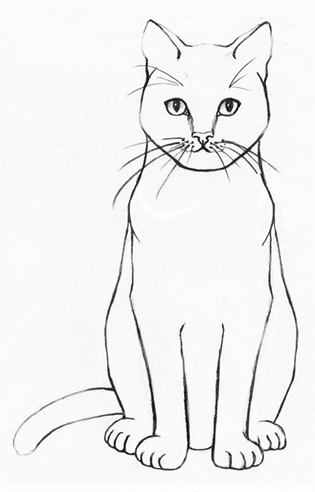 Cat Drawing Step 9