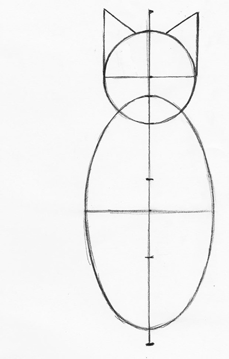 Cat Drawing Step 4