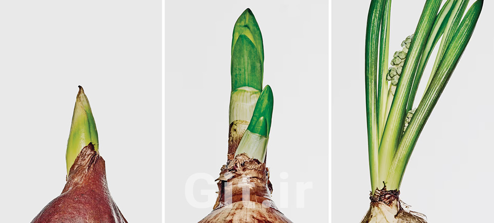 How Fast Should Your Company Really Grow?