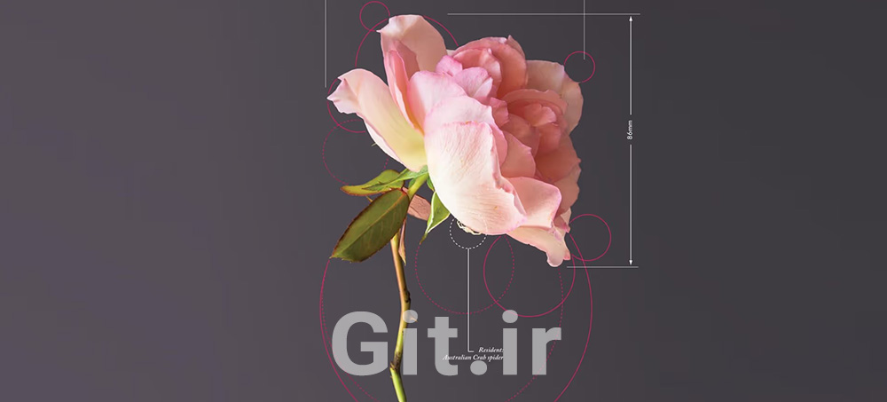 The Essential Link Between ESG Targets and Financial Performance