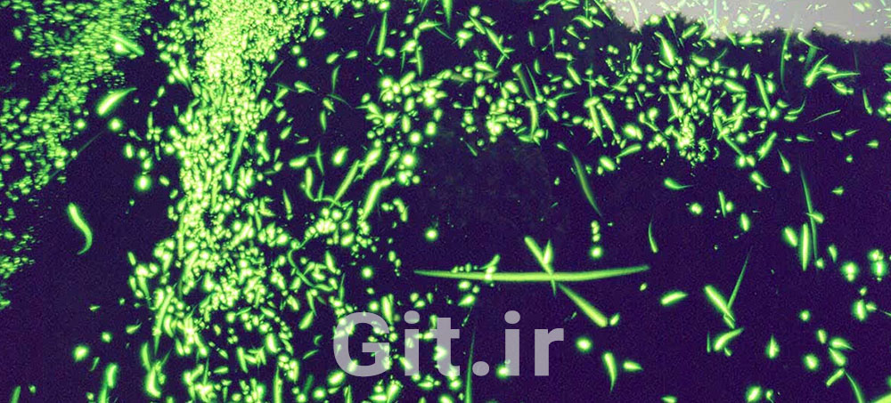 Emotional Agility Emotional Agility