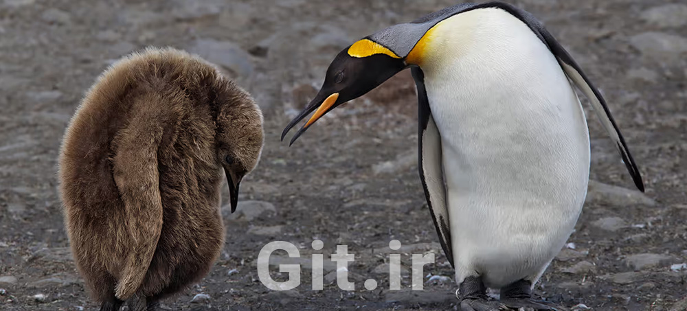 Find the Coaching in Criticism Find the Coaching in Criticism