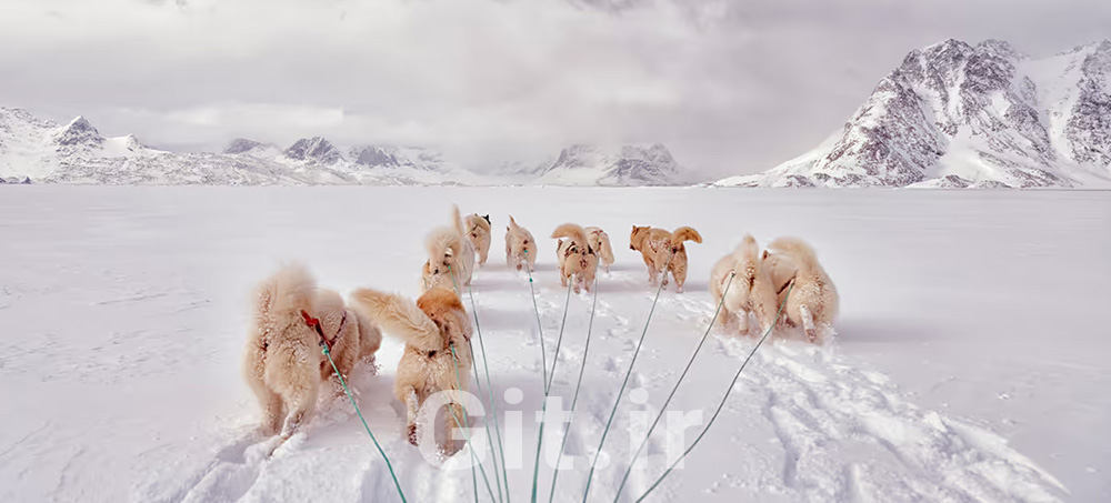 Fostering a Culture of Belonging in the Hybrid Workplace