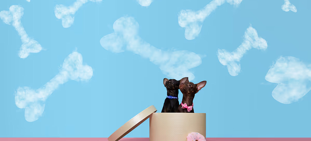 Keeping Sight of Your Company’s Long-Term Vision