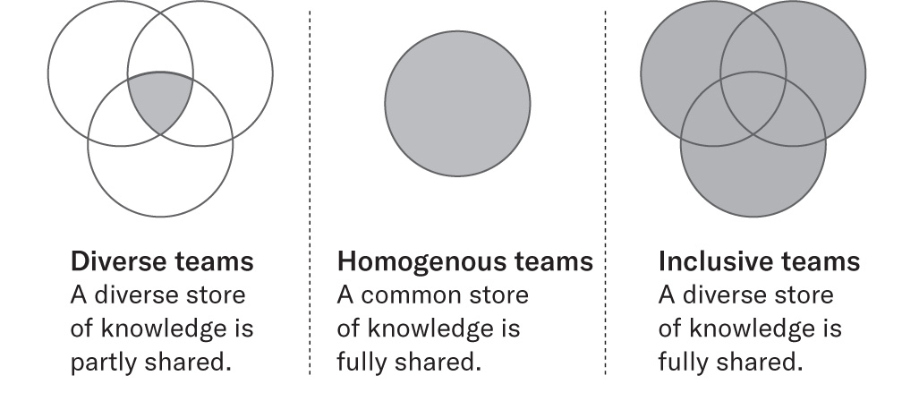 Trust, diversity, and team performance