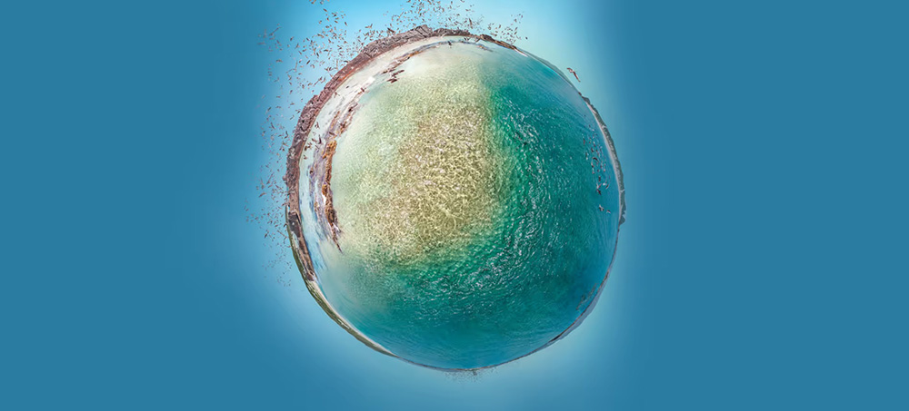 In the Ecosystem Economy, What’s Your Strategy?