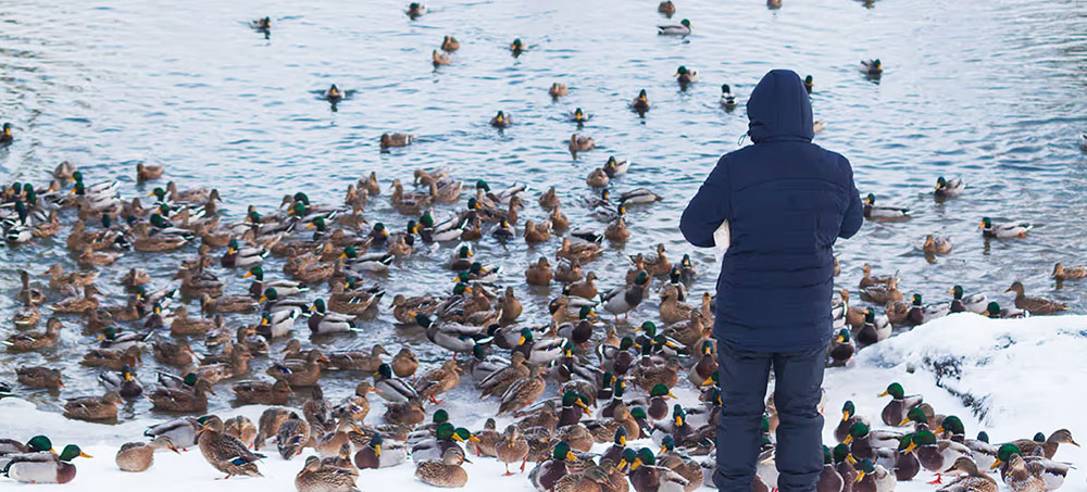 How to Build a Broader Network Within Your Company How to Build a Broader Network Within Your Company