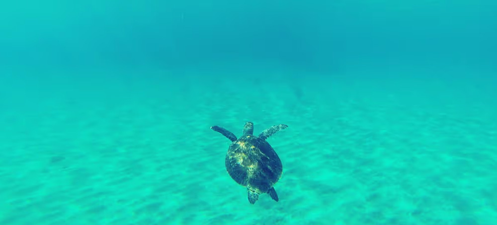 You Don’t Find Your Purpose—You Build It by John Coleman You Don’t Find Your Purpose—You Build It by John Coleman