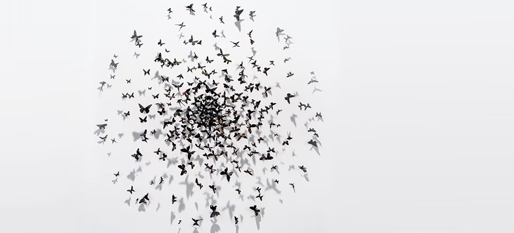 Collaborative Overload by Rob Cross, Reb Rebele, and Adam Grant Collaborative Overload by Rob Cross, Reb Rebele, and Adam Grant