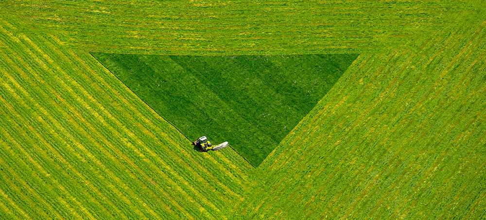 How Perfectionists Can Get Out of Their Own Way How Perfectionists Can Get Out of Their Own Way