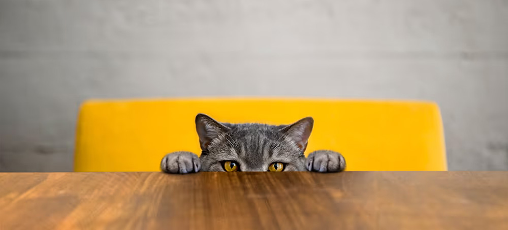 Simple Ways to Stop Obsessing Over Your Mistakes Simple Ways to Stop Obsessing Over Your Mistakes