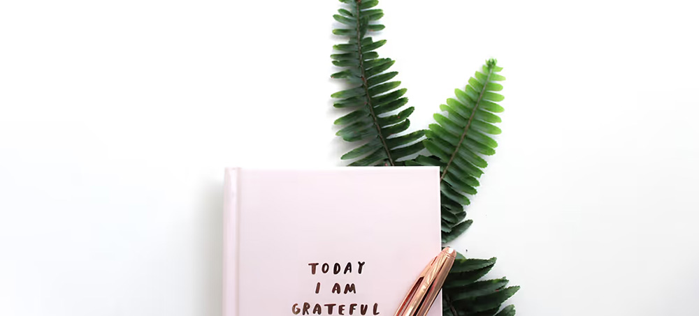 Use Gratitude to Grow by Christopher Littlefield