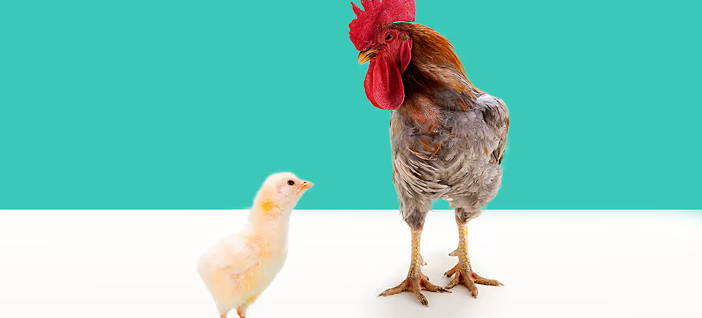 When Your Employees Have More Experience Than You