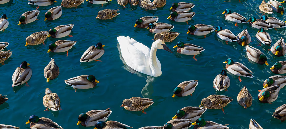 Why You Should Invest in Unconventional Talent