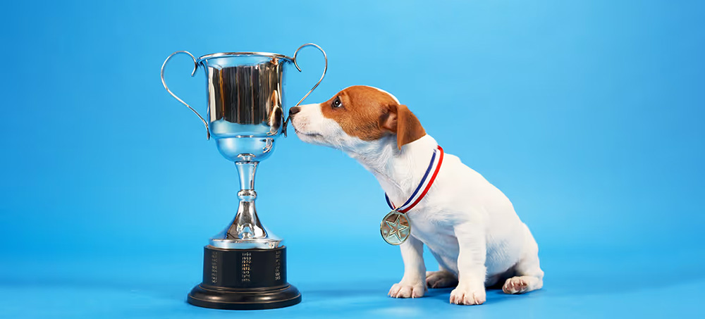 Why Employees Need Both Recognition and Appreciation