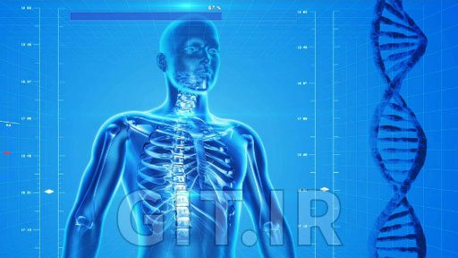 Learning Medical Terminology