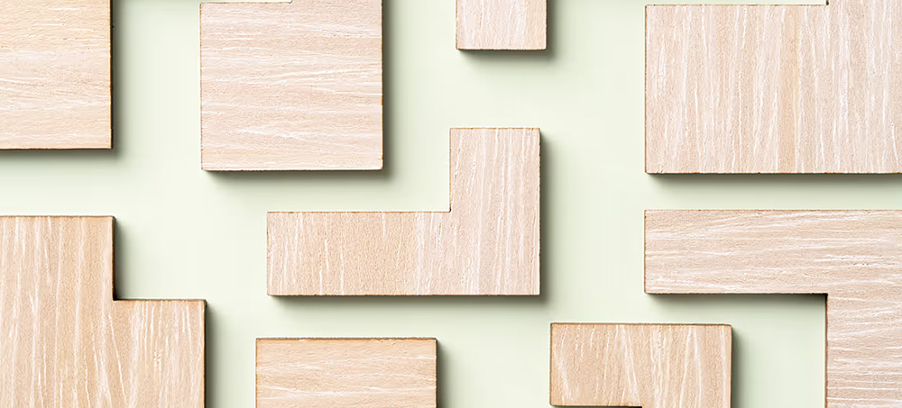 The Rise of the Chief Project Officer